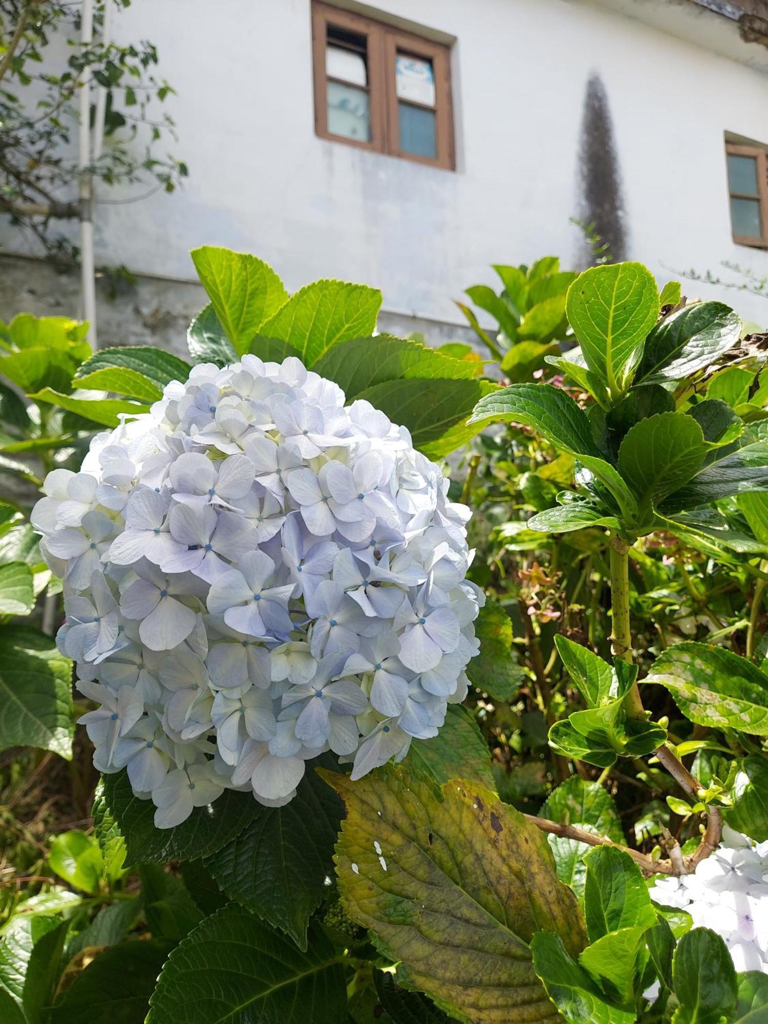 Amman Resorts Kodaikanal Exterior foto